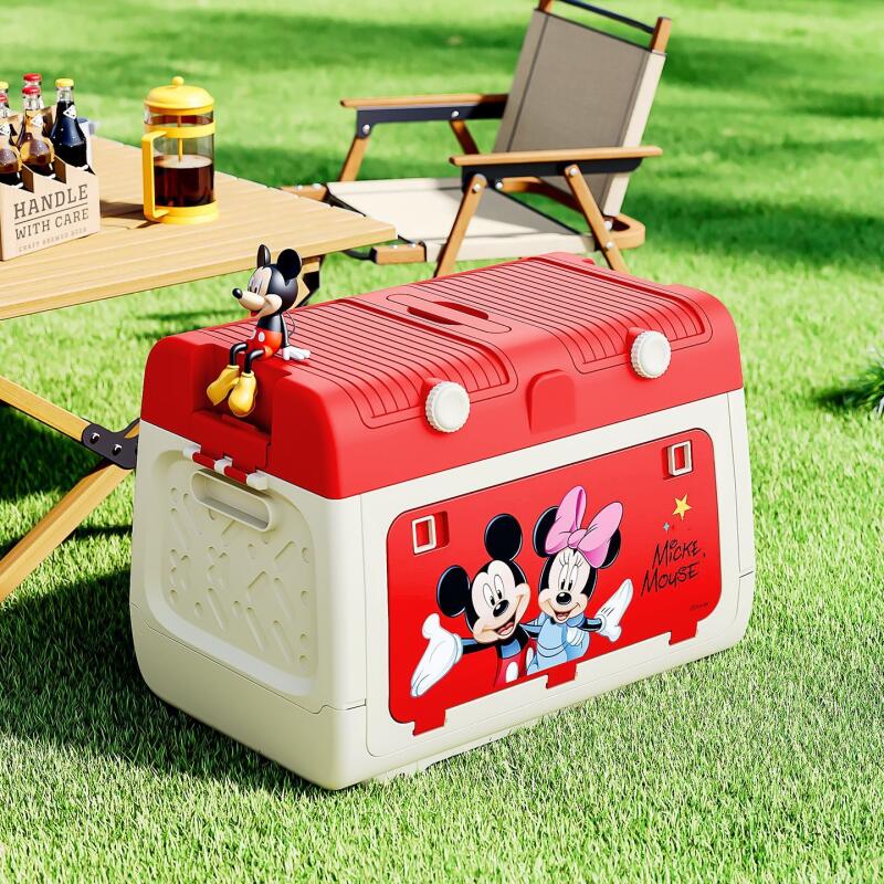 Caixa de Armazenamento para Ca - Outdoor Y Camping avaliação e preço