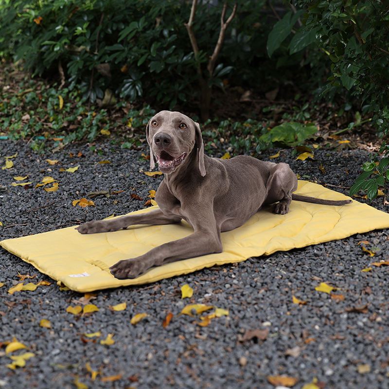 Portátil dobrável Pet Mat com  - Outdoor Camping Floor Mat avaliação e preço
